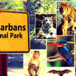 Sundarbans National Park
