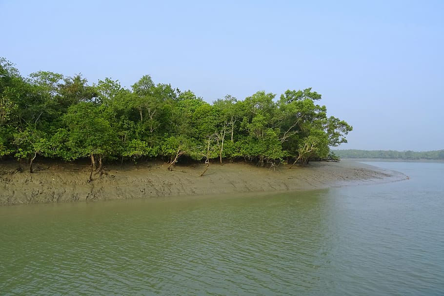 Sundarbans National Park